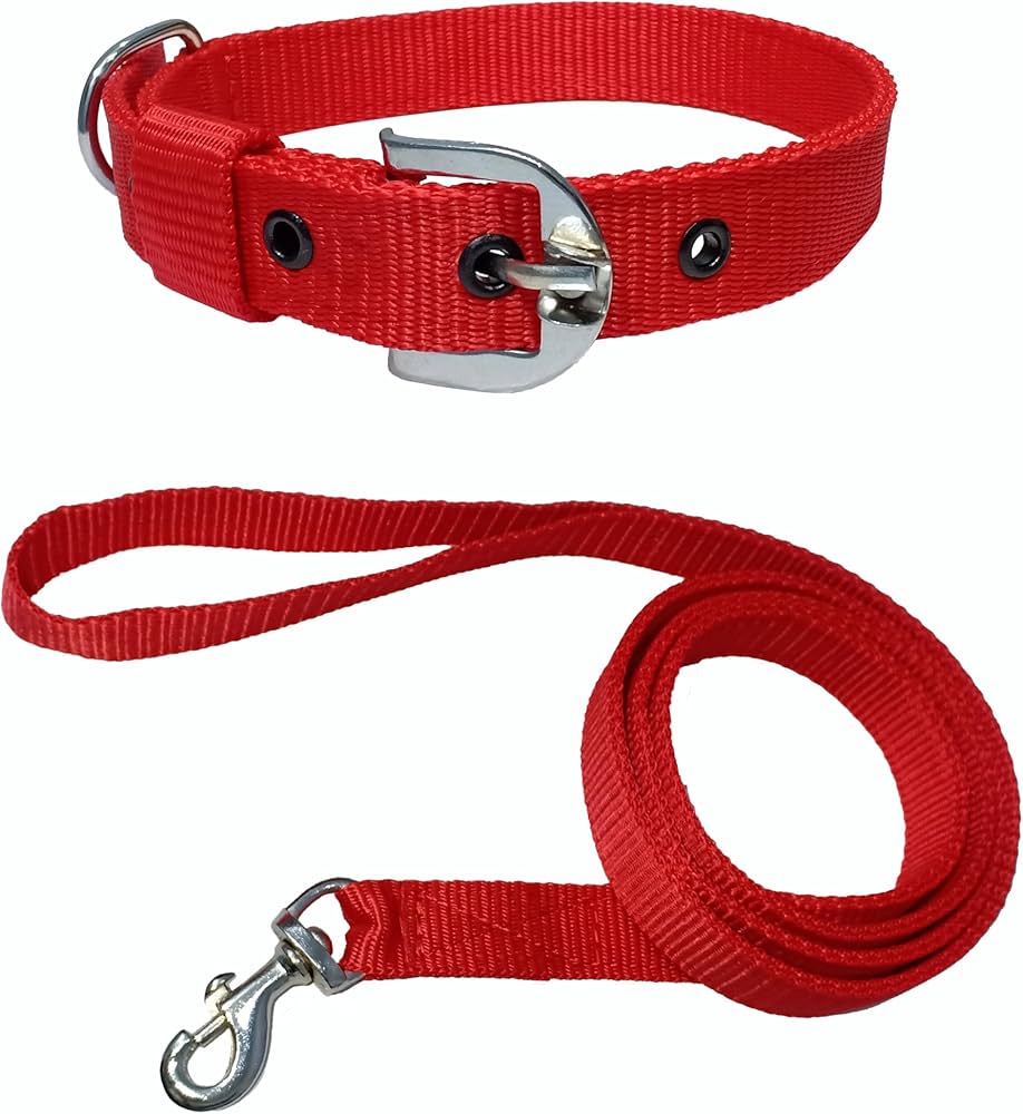 Pet Dog Rope & Belts