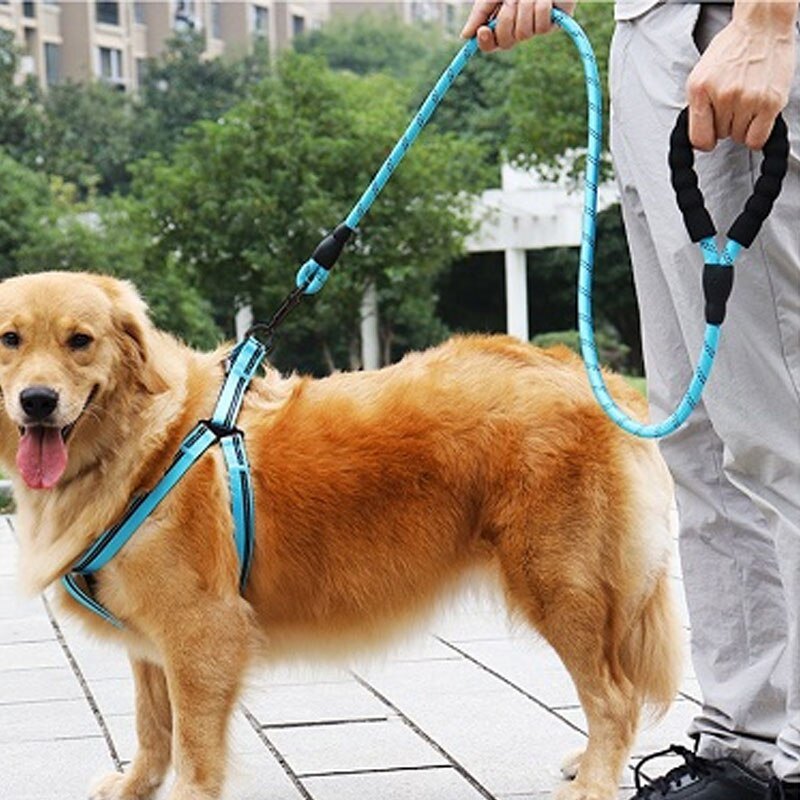 Pet Dog Rope & Belts